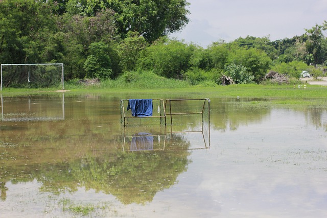 里程碑！东契奇职业生涯常规赛总篮板突破4000大关